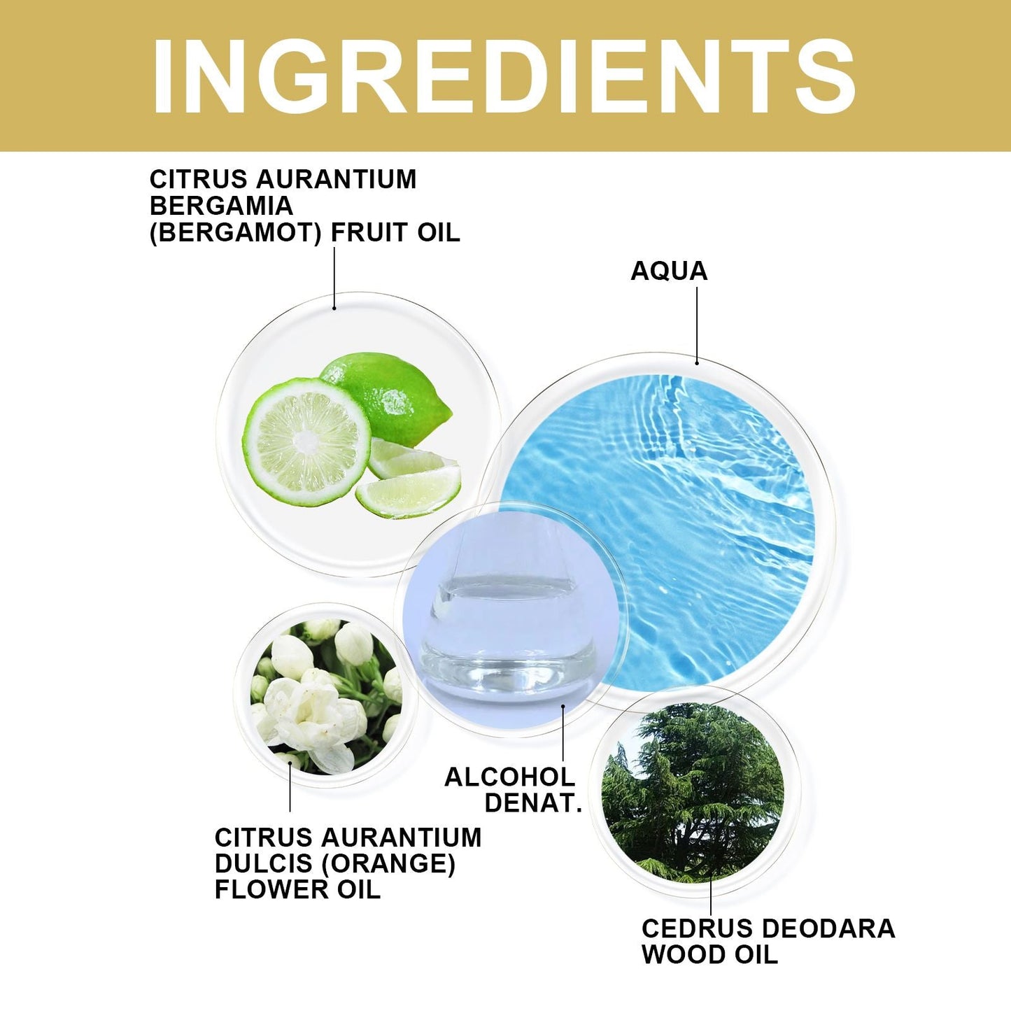 North moon Fragrance, Fresh Stay Fragrance Deodorizing Odor Lasting Niche Light Fragrance Couples Dating Atmosphere Perfume