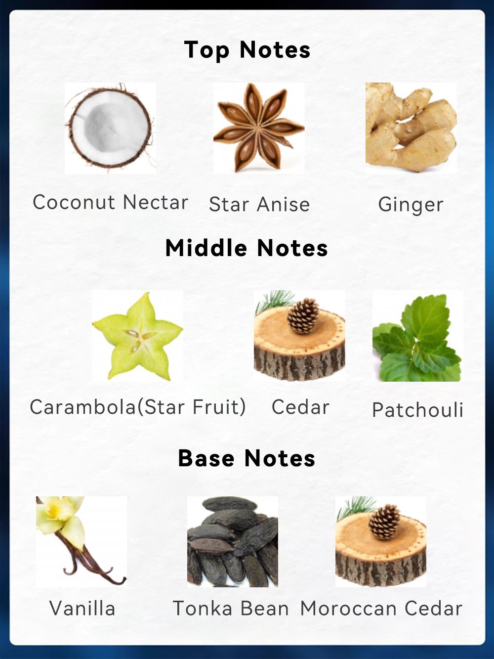 3.4 Fl Oz Men's Eau De Parfum Spray - a Amber Fougere fragrance for men- With Coconut Nectar,Star Anise and Ginger - Medium Intensity Perfume