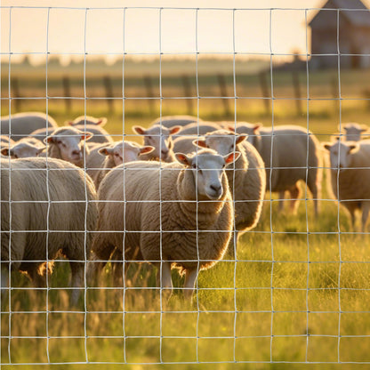5x164 ft Advanced Weave Farm Enclosures Long-Lasting and Secure Galvanized Farm Fence
