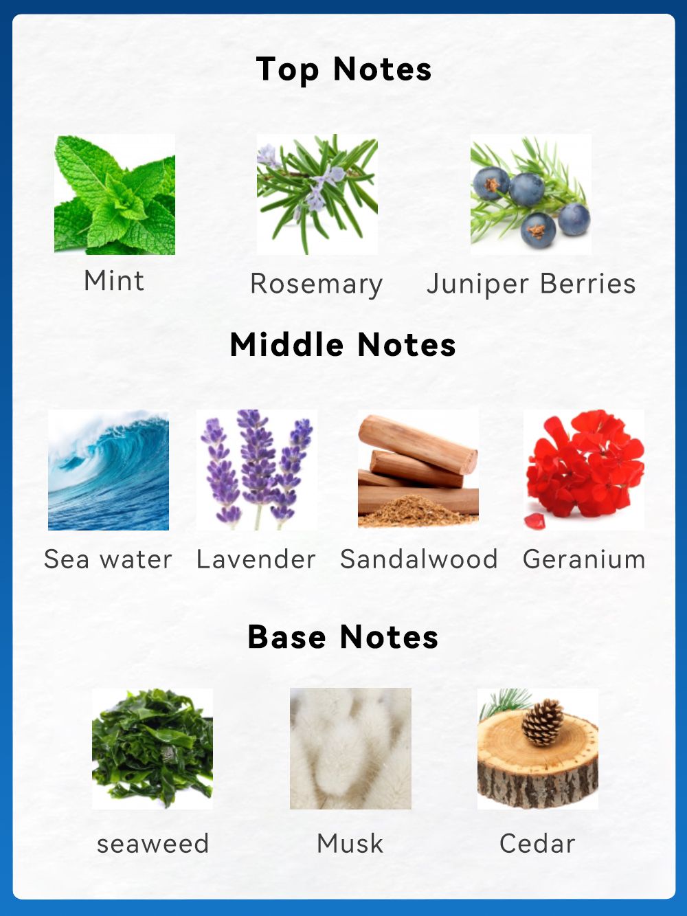 3.4fl Oz Men's Eau De Toilette Spray, Long-Lasting Perfume, Notes Of Mint, Rosemary, Sea Water Flavor, Perfect For Dating, Daily Life, Parties, Gift Giving