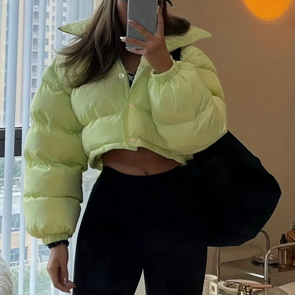 Solid Full Zipper Crop Coat, Warm Stand Collar Lightweight Coat, Outerwear For Fall & Winter, Women's Clothing