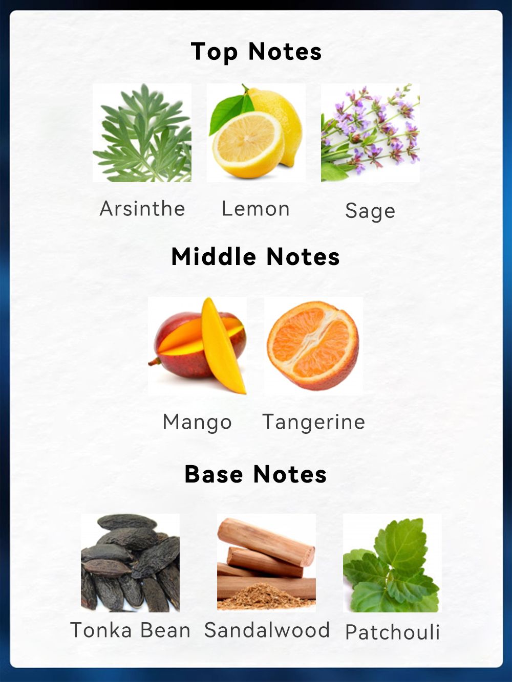 [Long-Lasting Eau De Toilette] Long-Lasting 3.4fl.oz Men's Eau De Toilette Spray - Sage,Absinthe,Lemon Flavor Perfume -Perfect for Dating,Daily Life,Parties,Gift Giving,Valentine's Day And Other