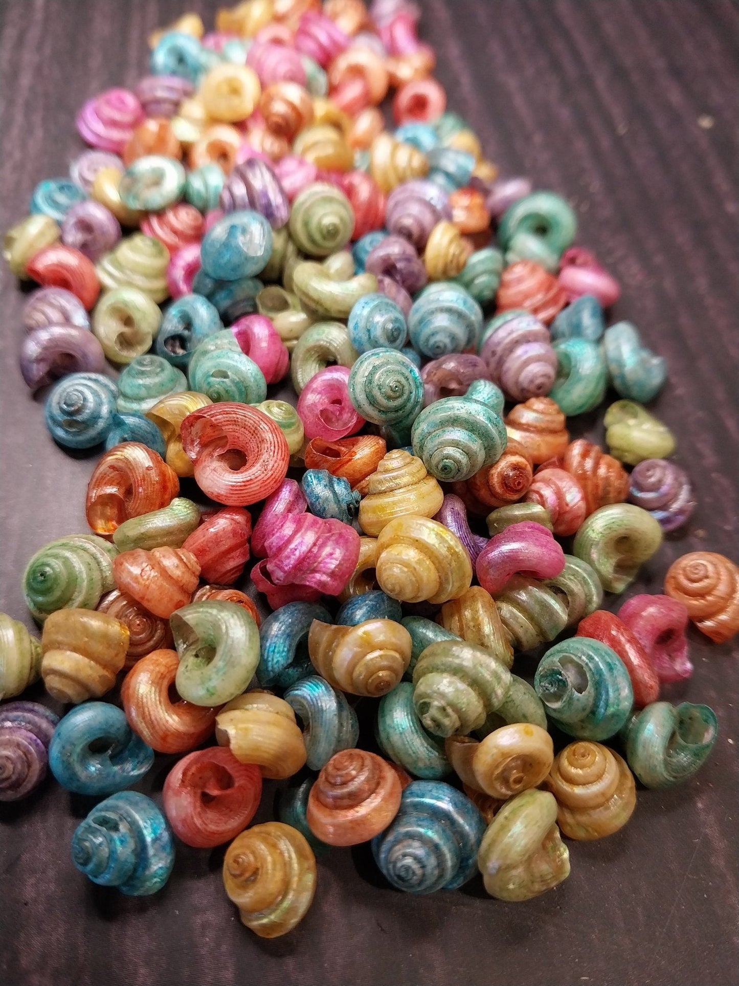 Dyed Malabar Snail Shells