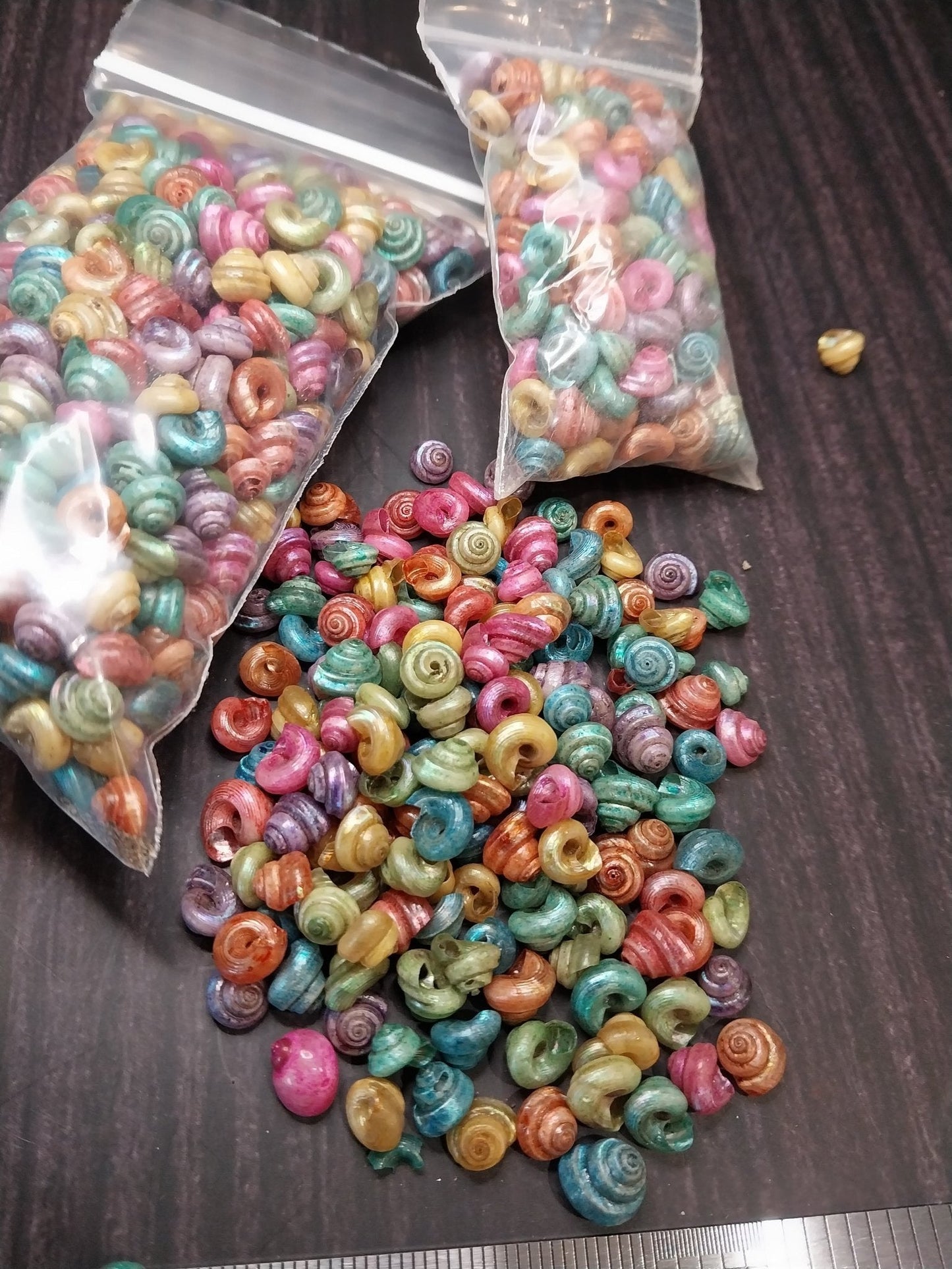 Dyed Malabar Snail Shells