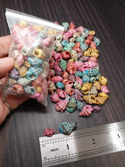 Bulk Dyed Nassarius Stolatus Shells – Colorful Spiral Craft Shells for DIY & Jewelry