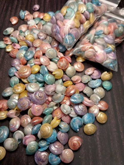 Bulk Dyed Pastel Umbonium Shells – Button Snail Craft Shells for DIY & Decor