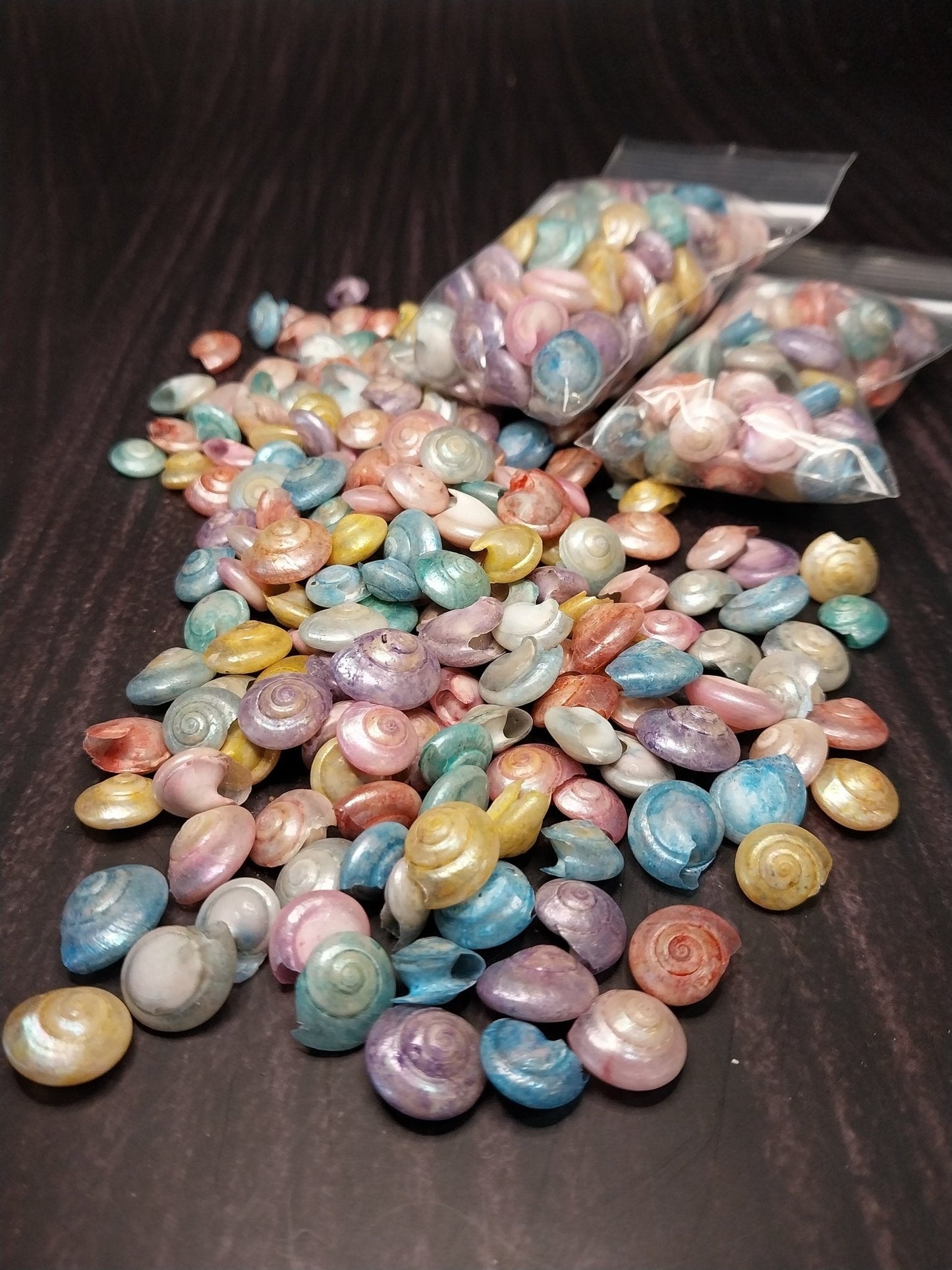 Bulk Dyed Pastel Umbonium Shells – Button Snail Craft Shells for DIY & Decor