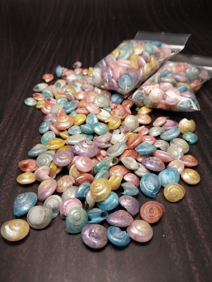 Bulk Dyed Pastel Umbonium Shells – Button Snail Craft Shells for DIY & Decor