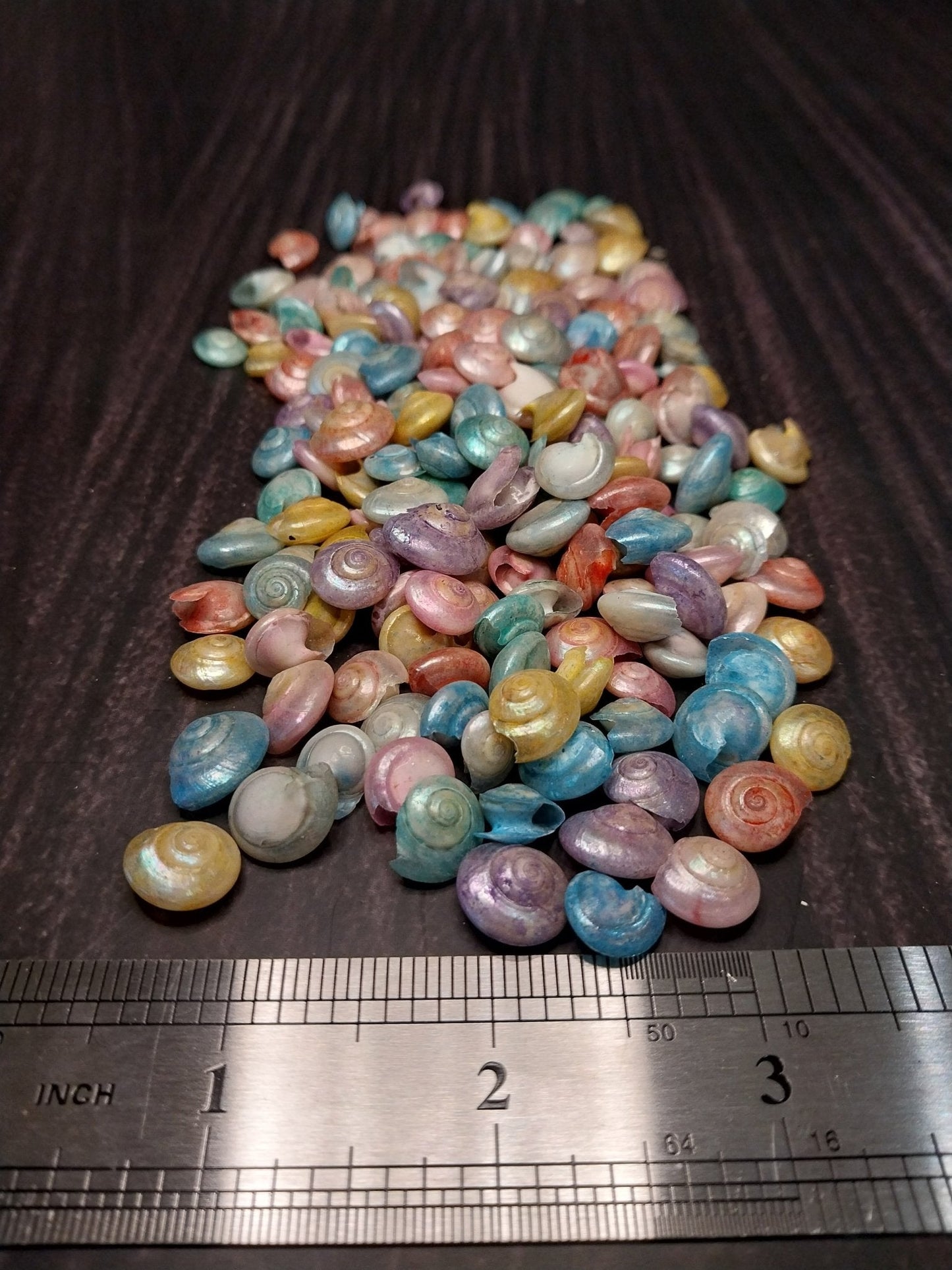 Bulk Dyed Pastel Umbonium Shells – Button Snail Craft Shells for DIY & Decor