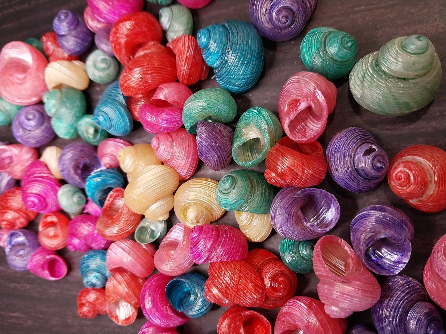 Bulk Dyed Turbo Shells – Vibrant Spiral Craft Shells for DIY & Coastal Decor