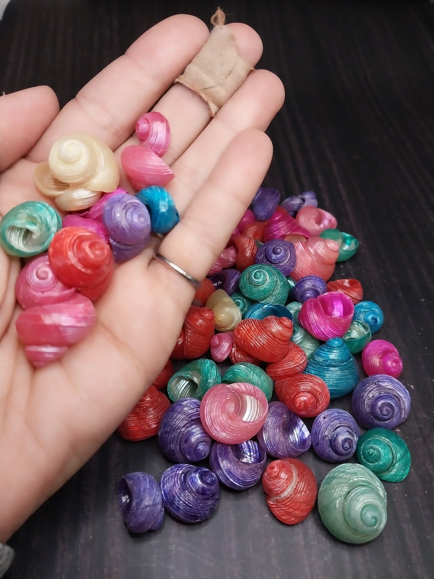Bulk Dyed Turbo Shells – Vibrant Spiral Craft Shells for DIY & Coastal Decor