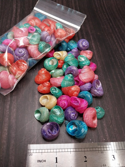 Bulk Dyed Turbo Shells – Vibrant Spiral Craft Shells for DIY & Coastal Decor