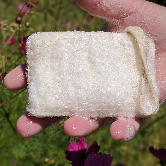Eco Dish Washing Sponge 3 Pack - Loofah