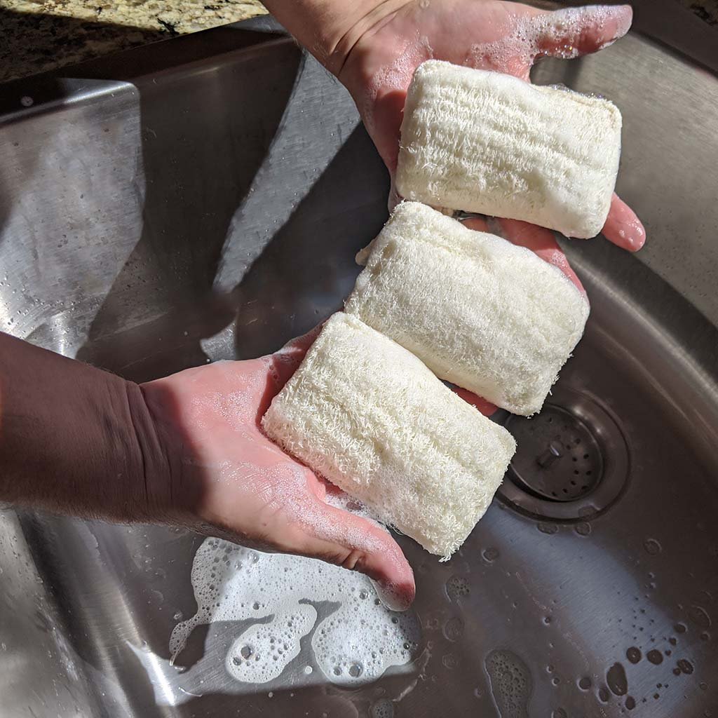 Eco Dish Washing Sponge 3 Pack - Loofah