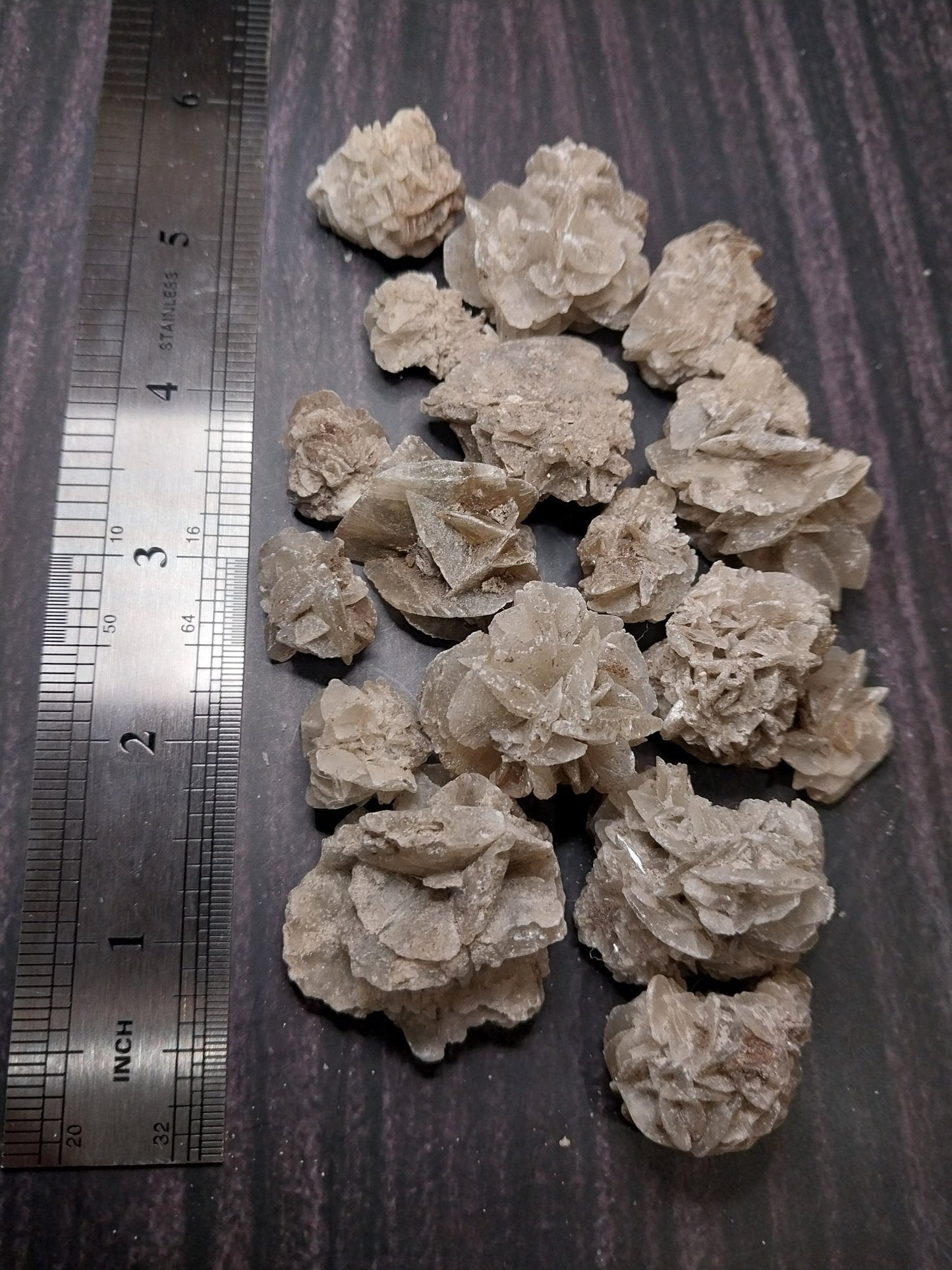 Elephant Ear Crystalized Selenite Mineral