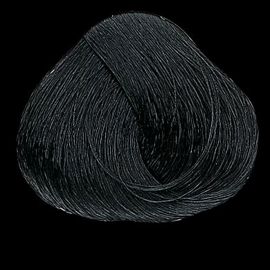 EVOLUTION OF THE COLOR by Alfaparf NATURALS 2.05oz