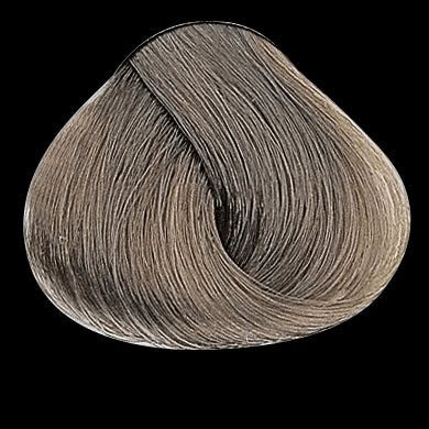 EVOLUTION OF THE COLOR by Alfaparf NATURALS 2.05oz