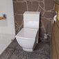 EAGO TB336 ONE PIECE HIGH EFFICIENCY LOW FLUSH  CERAMIC TOILET
