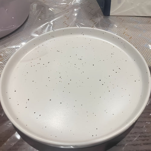 Ceramic Dinner Plate with Splattered Ink Design Stylish Tableware