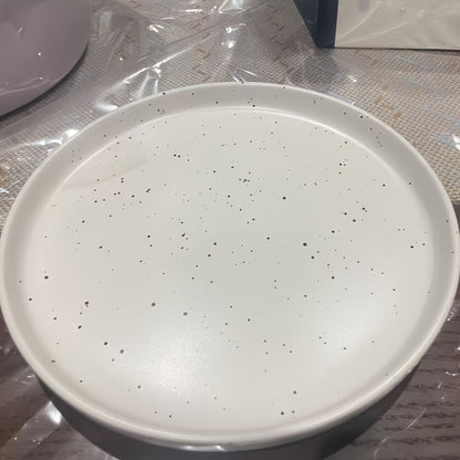 Ceramic Dinner Plate with Splattered Ink Design Stylish Tableware