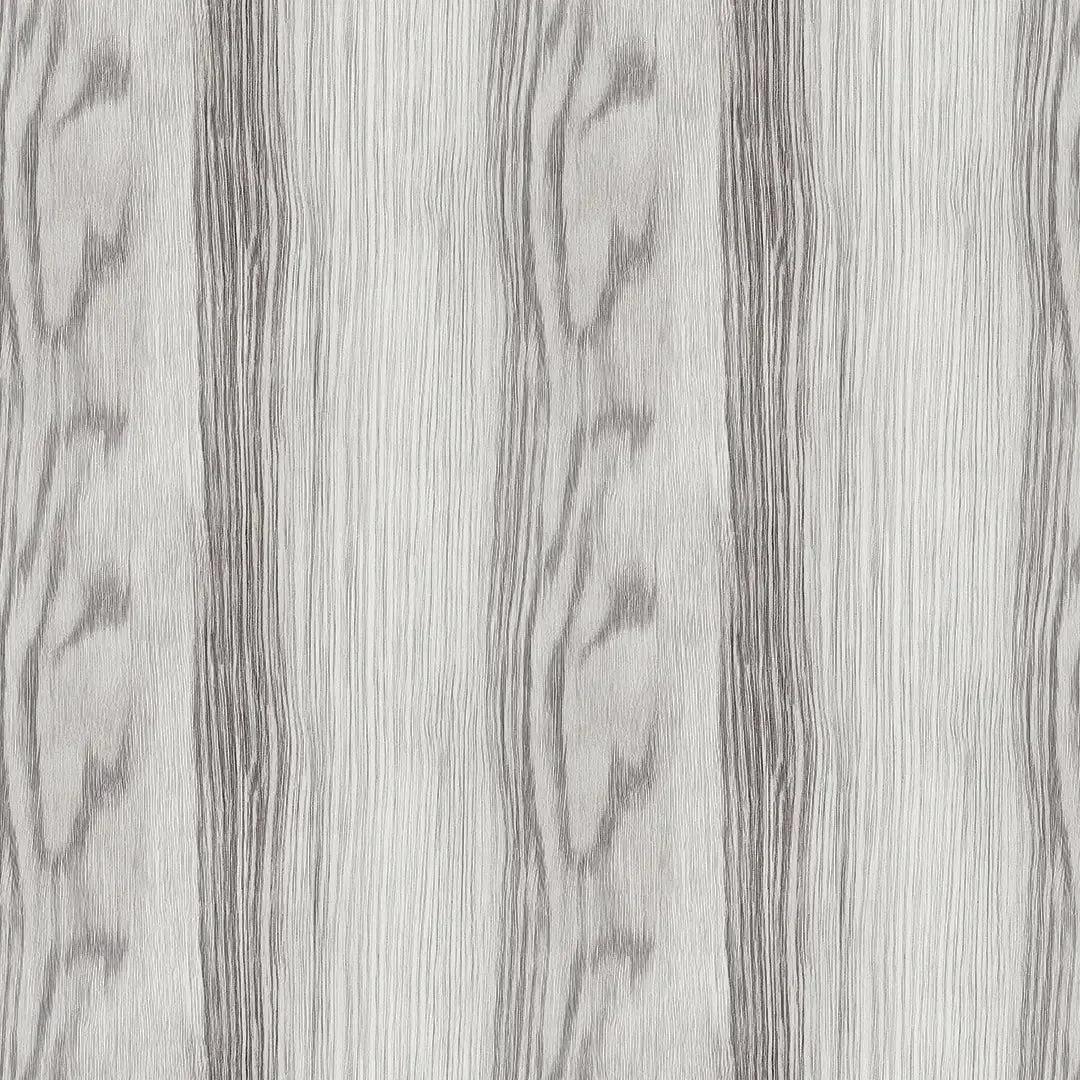 Silver Birch Forest Whisper