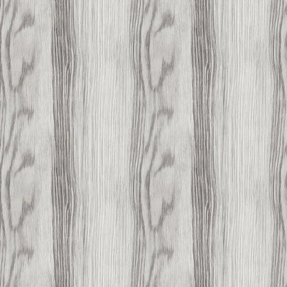 Silver Birch Forest Whisper