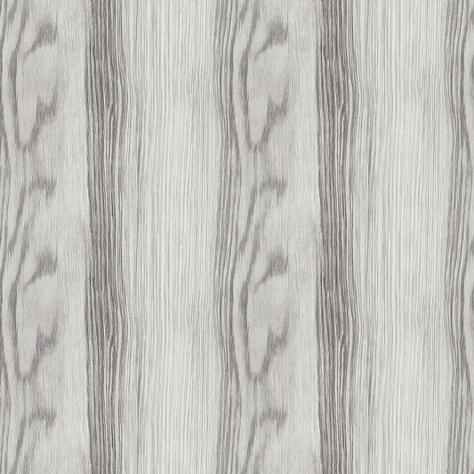 Silver Birch Forest Whisper