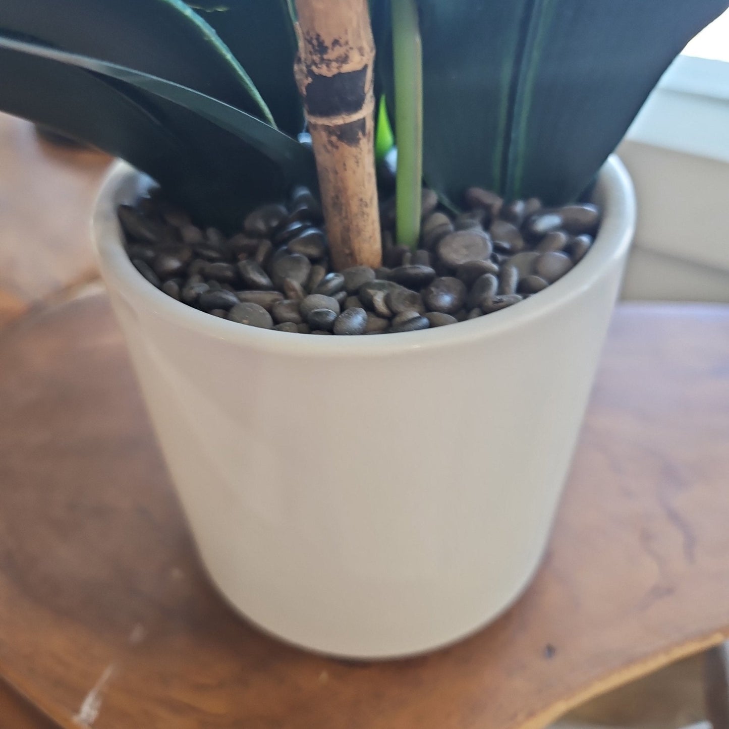 Faux Orchid Potted Plant