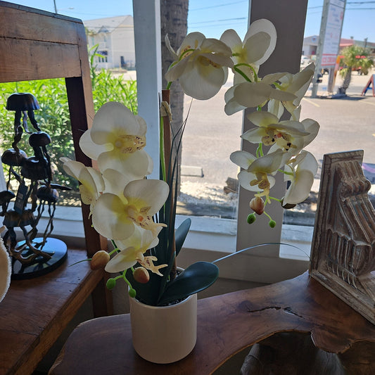 Faux Orchid Potted Plant