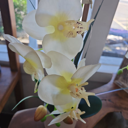 Faux Orchid Potted Plant