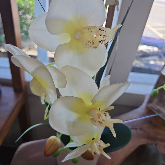 Faux Orchid Potted Plant