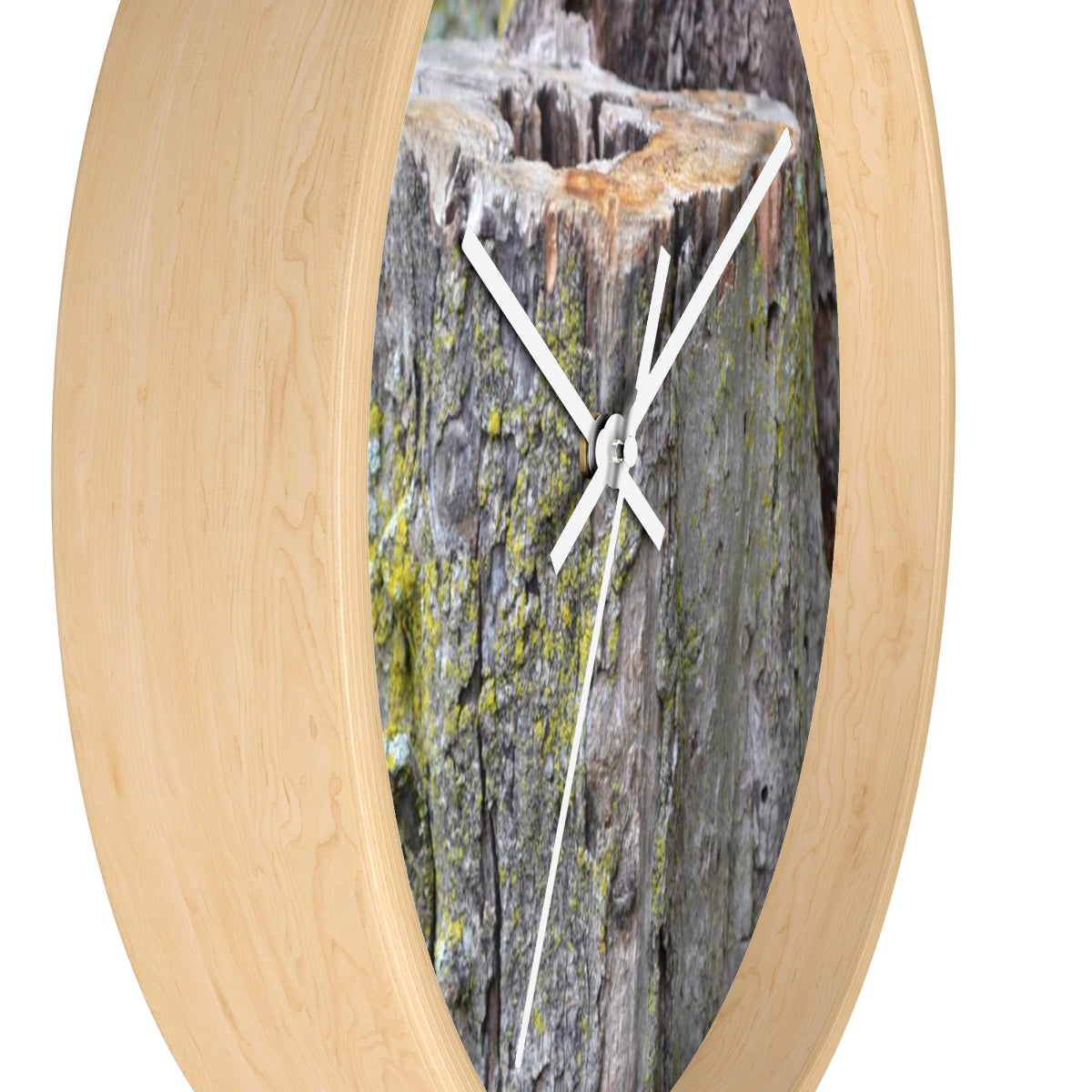 Tree Stump Wall clock