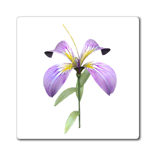 Purple Flower Magnets