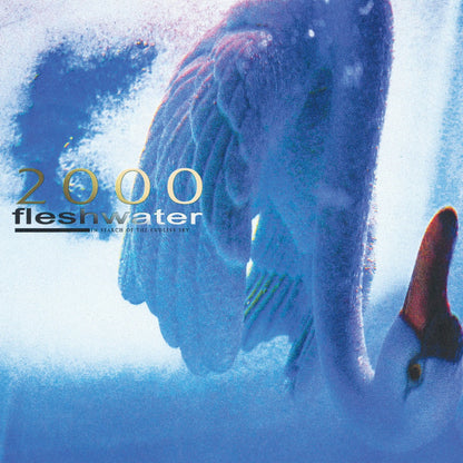 2000: In Search Of The Endless Sky (CD)