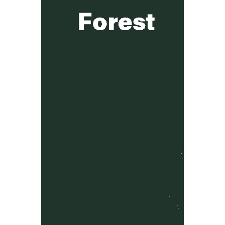 Jeeper Flower Rhinestone Tee Short or Long  Sleeve