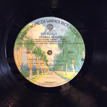 In Flight (VINYL) | Near Mint (NM or M-) Near Mint (NM or M-)