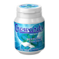 Chowards Sugar Free Gum - Peppermint