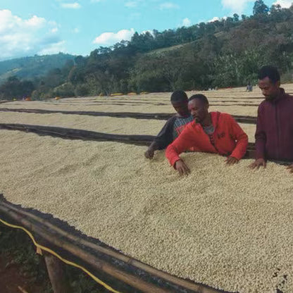 Ethiopia Guji: Benti Neka