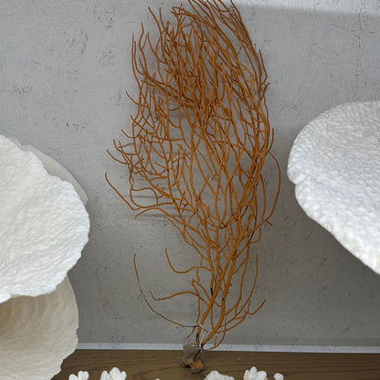 Vintage Gulf of Mexico Orange Sea Whip