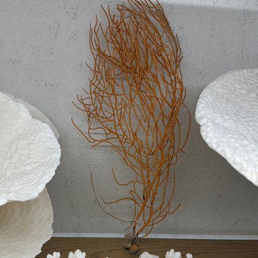 Vintage Gulf of Mexico Orange Sea Whip