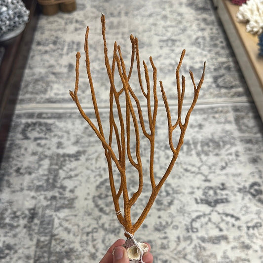 Vintage Gulf of Mexico Orange Sea Whip Coral