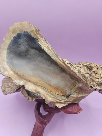 Hand-Painted Oyster Shells with Wooden Stands – Unique Coastal Art by Local Artist