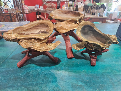 Hand-Painted Oyster Shells with Wooden Stands – Unique Coastal Art by Local Artist