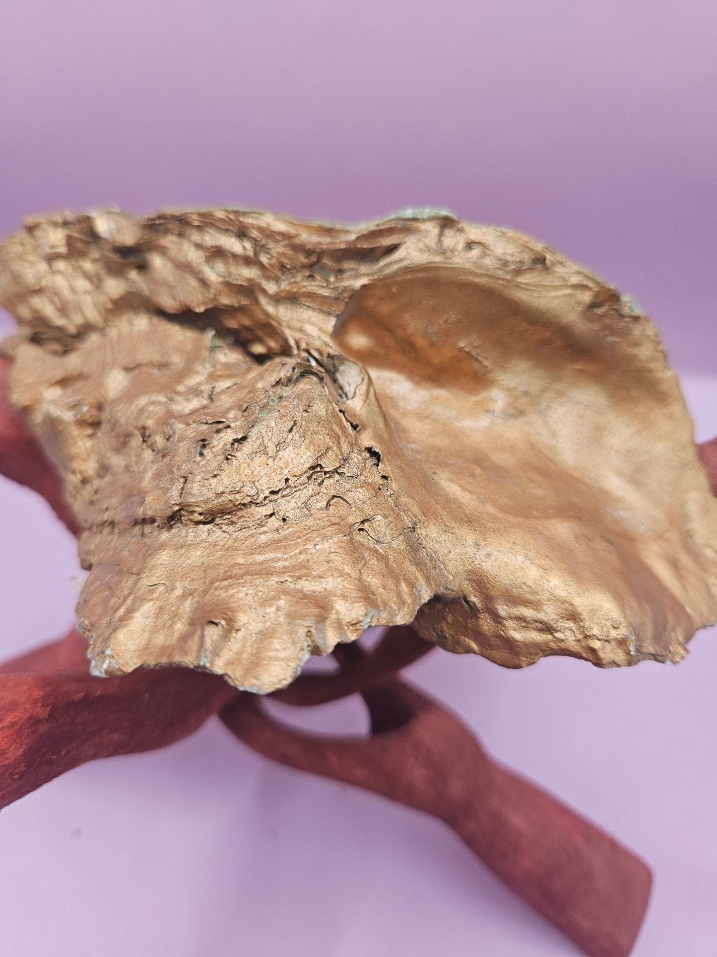 Hand-Painted Oyster Shells with Wooden Stands – Unique Coastal Art by Local Artist