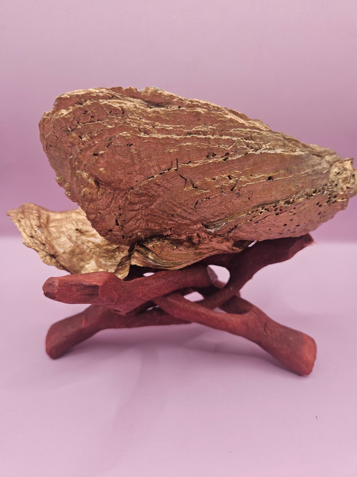 Hand-Painted Oyster Shells with Wooden Stands – Unique Coastal Art by Local Artist