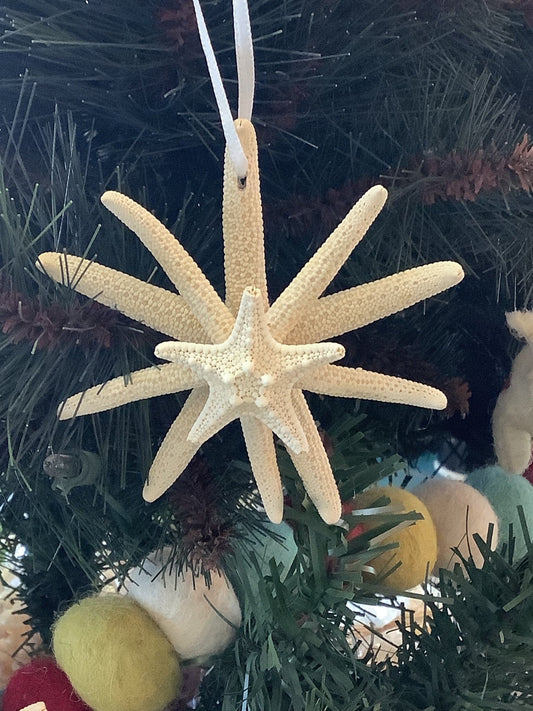 Handmade Starburst Starfish Ornament