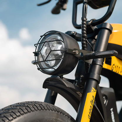 HappyRun G100 (G100 Pro) Long Distance Electric Fat Tire Bike Motorcycle (SAK95715)