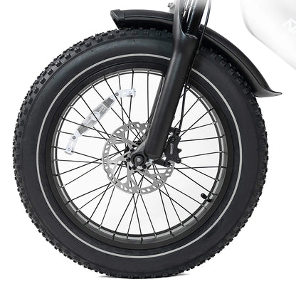 HappyRun G70 (G70 Pro) Long Distance Dual Battery Electric Fat Tire Cargo Bike (SAK81369)
