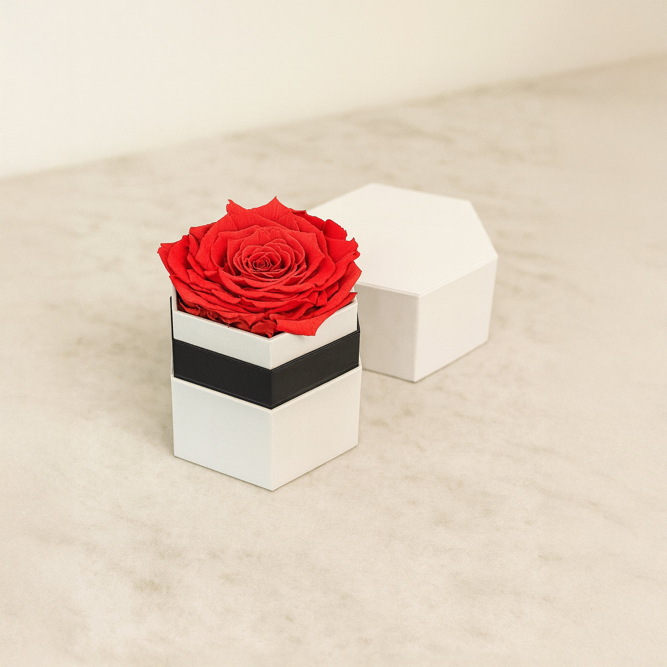 ONE IN A MILLION™ WHITE HEXAGON BOX | CORAL ROSE