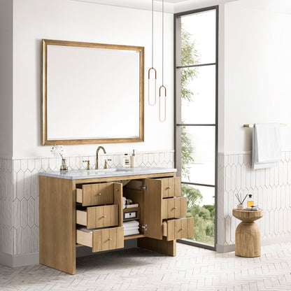 Hudson 48" Single Vanity Cabinet
